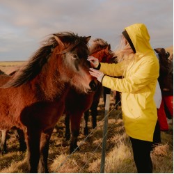 ІСЛАНДІЯ 16-21 травня!