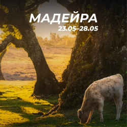МАДЕЙРА 23-28 травня!
